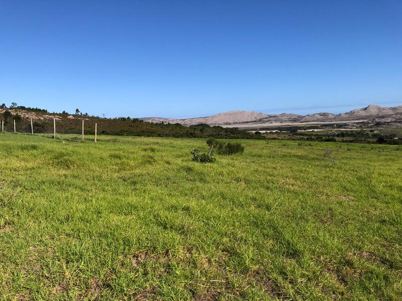 0 Bedroom Property for Sale in Baardskeerdersbos Western Cape